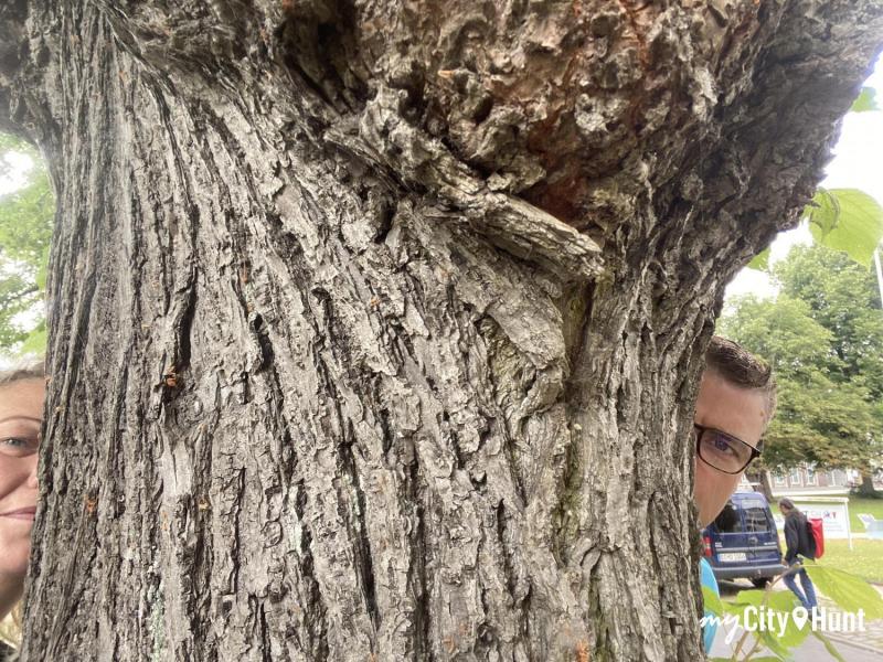 myCityHunt Schnitzeljagd 3