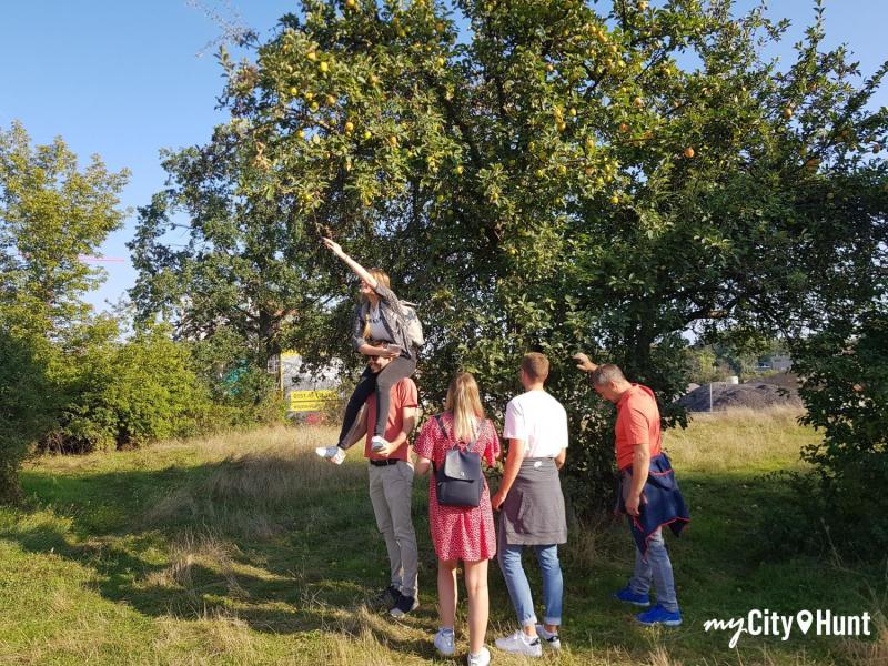 myCityHunt Schnitzeljagd 15