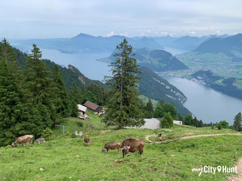 myCityHunt Schnitzeljagd 13