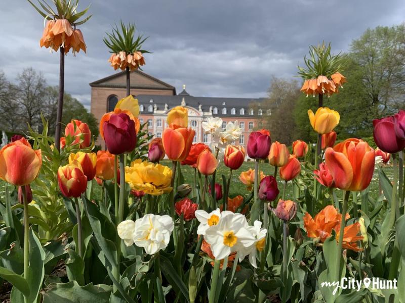 myCityHunt Schnitzeljagd 7